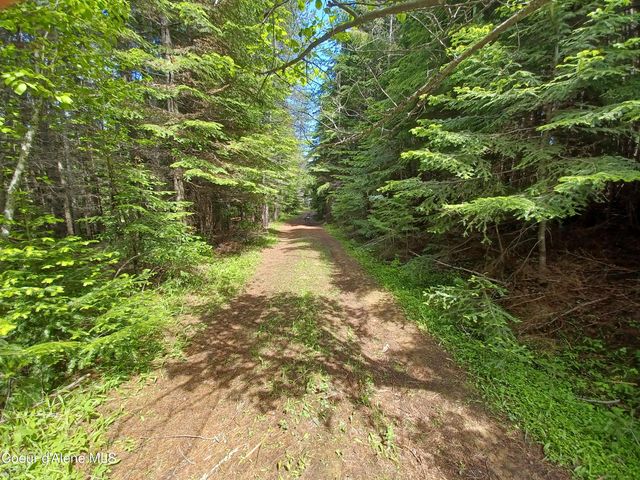 127 Coyote Trail, Priest River, ID 83856
