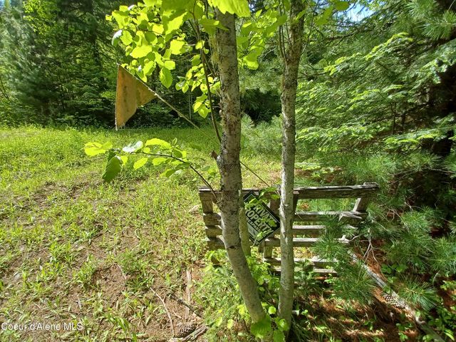 127 Coyote Trail, Priest River, ID 83856