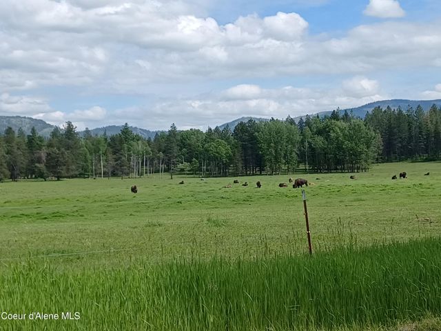 127 Coyote Trail, Priest River, ID 83856