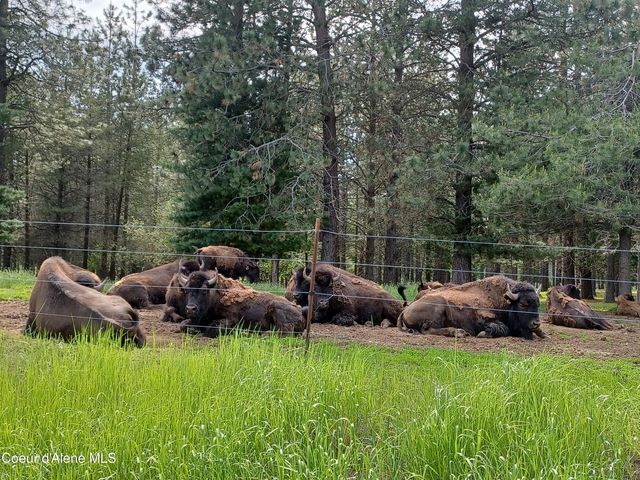 127 Coyote Trail, Priest River, ID 83856