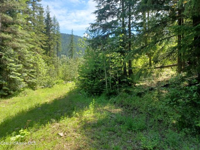 127 Coyote Trail, Priest River, ID 83856