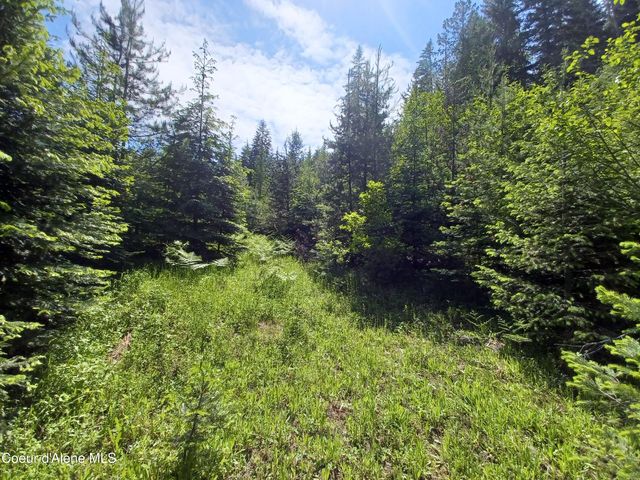 127 Coyote Trail, Priest River, ID 83856