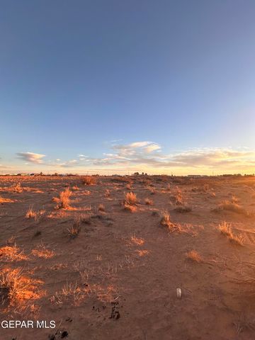 14648 BRADLEY Road, Clint, TX 79836