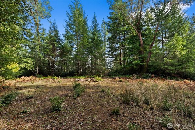 0 Willow Road SE, Port Orchard, WA 98367