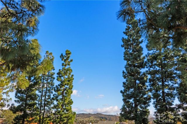 41 Hillgrass, Irvine, CA 92603
