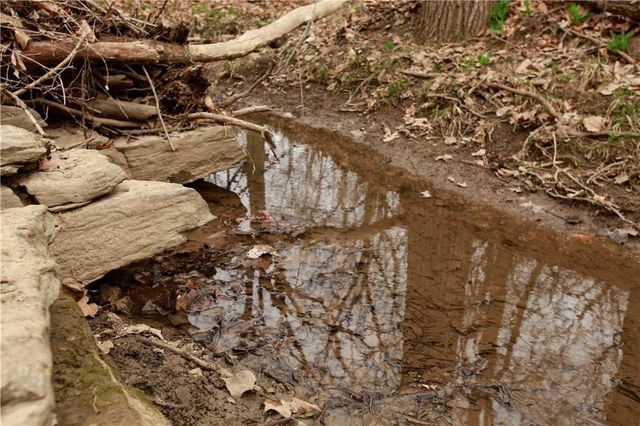 26313 S Smoke Road, Peculiar, MO 64078