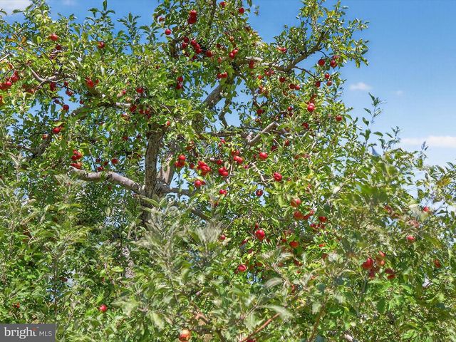 1494 MOUNTAIN RD, Orrtanna, PA 17353