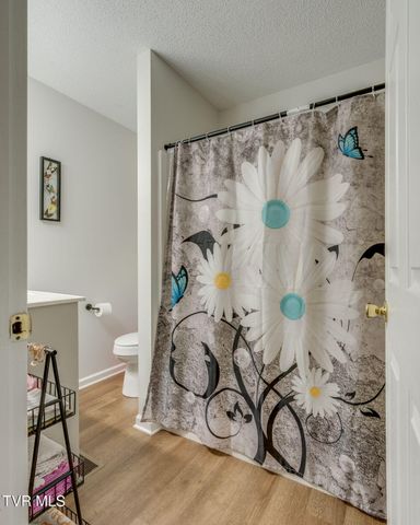 201 Ron Royce Drive 8, Elizabethton, TN 37643