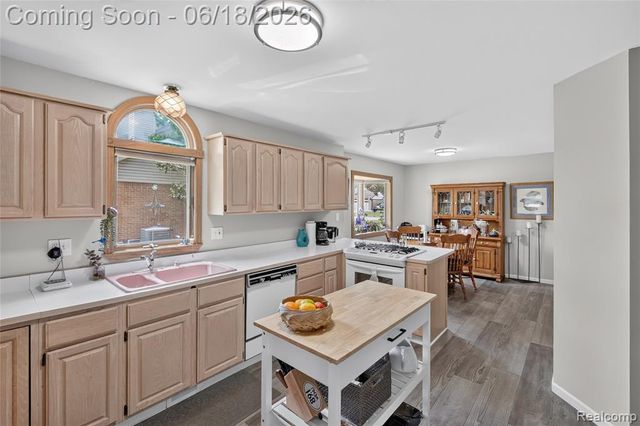 13231 Linda Vista Street, Belleville, MI 48111