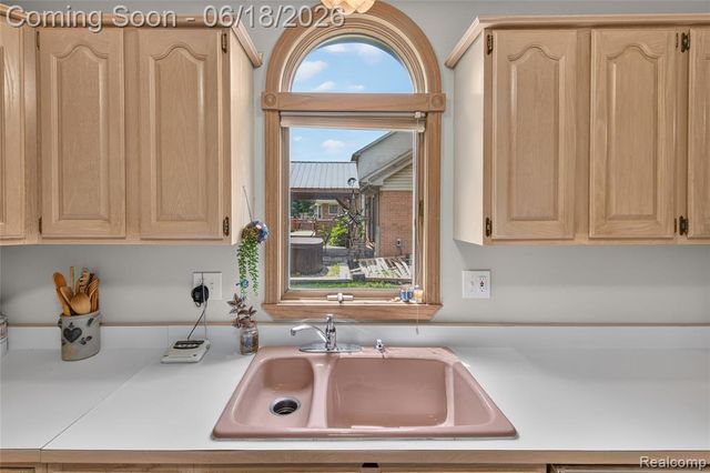 13231 Linda Vista Street, Belleville, MI 48111