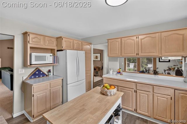13231 Linda Vista Street, Belleville, MI 48111