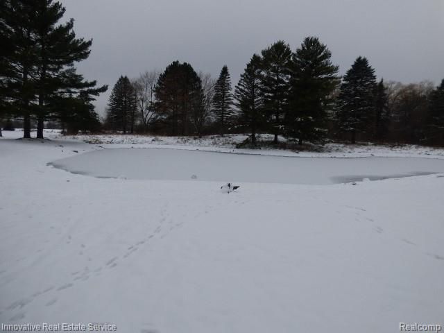 3820 Havens Road, Dryden Township, MI 48428