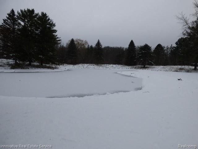 3820 Havens Road, Dryden Township, MI 48428