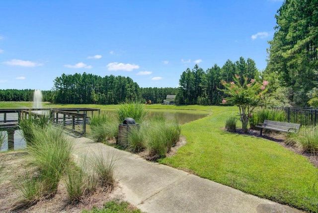 1313 Wood Sorrel Drive, Moncks Corner, SC 29461