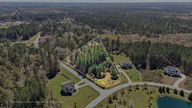 1313 Wood Sorrel Drive, Moncks Corner, SC 29461