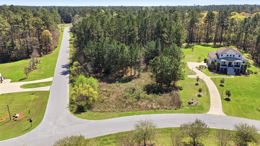 1313 Wood Sorrel Drive, Moncks Corner, SC 29461