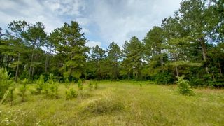 1 Nursery Road, Livingston, TX 77351