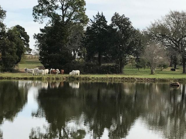 00002 Nelson Road, Hempstead, TX 77445