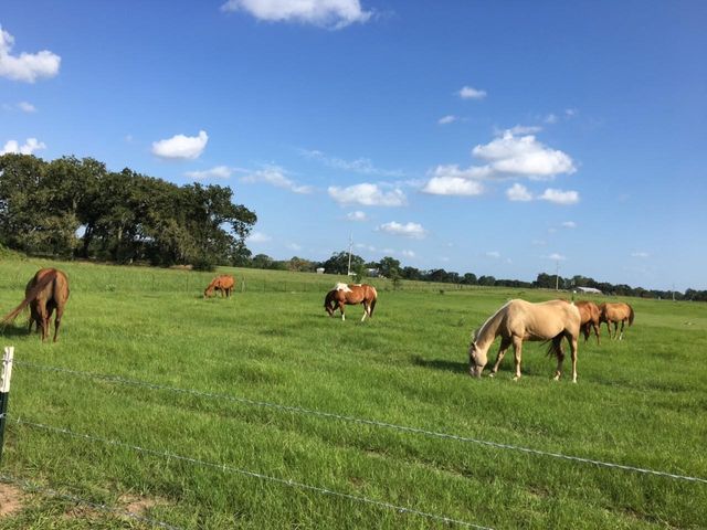 00002 Nelson Road, Hempstead, TX 77445