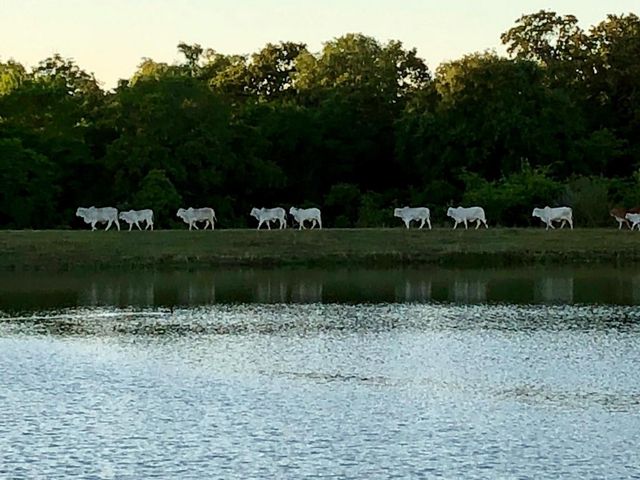 00002 Nelson Road, Hempstead, TX 77445
