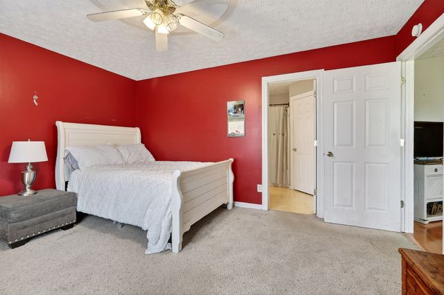 105 Big Hickory Ct, Smithville, TN 37166