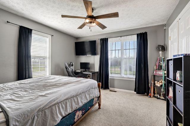 105 Big Hickory Ct, Smithville, TN 37166