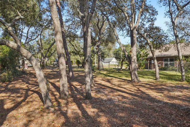 4542 LEMON STREET, Lady Lake, FL 32159