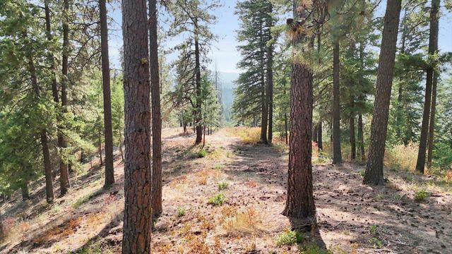 17820 N Forest Ln, Newman Lake, WA 99025