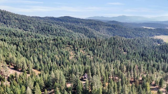 17820 N Forest Ln, Newman Lake, WA 99025