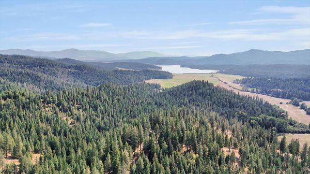 17820 N Forest Ln, Newman Lake, WA 99025