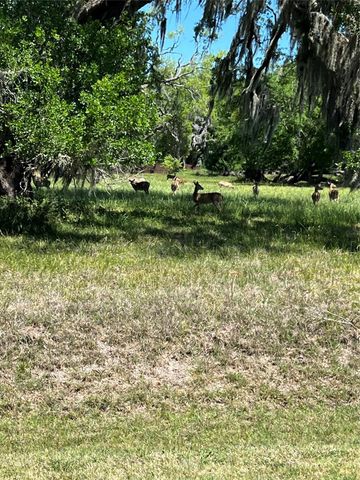 131 Hidden Horse Trail, Angleton, TX 77515