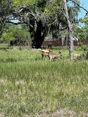 131 Hidden Horse Trail, Angleton, TX 77515
