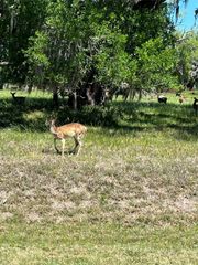 131 Hidden Horse Trail, Angleton, TX 77515