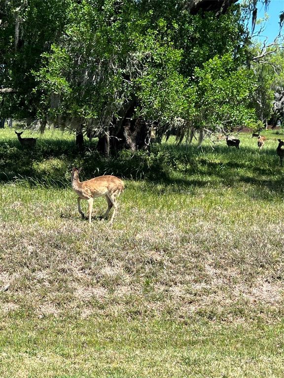 131 Hidden Horse Trail, Angleton, TX 77515