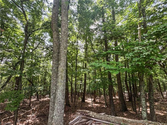 TBD Timber Ridge Road, Mcgrady, NC 28649