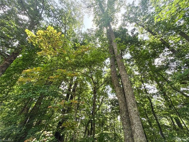 TBD Timber Ridge Road, Mcgrady, NC 28649