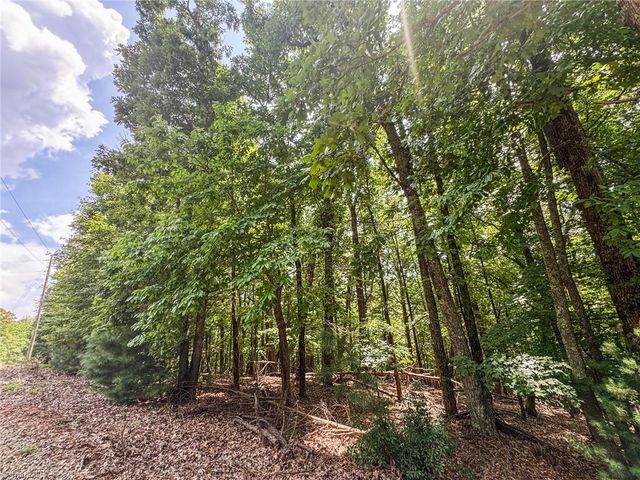TBD Timber Ridge Road, Mcgrady, NC 28649