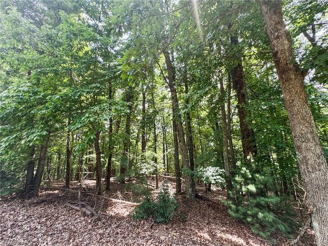 TBD Timber Ridge Road, Mcgrady, NC 28649