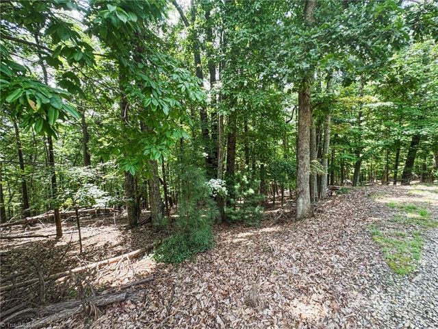 TBD Timber Ridge Road, Mcgrady, NC 28649