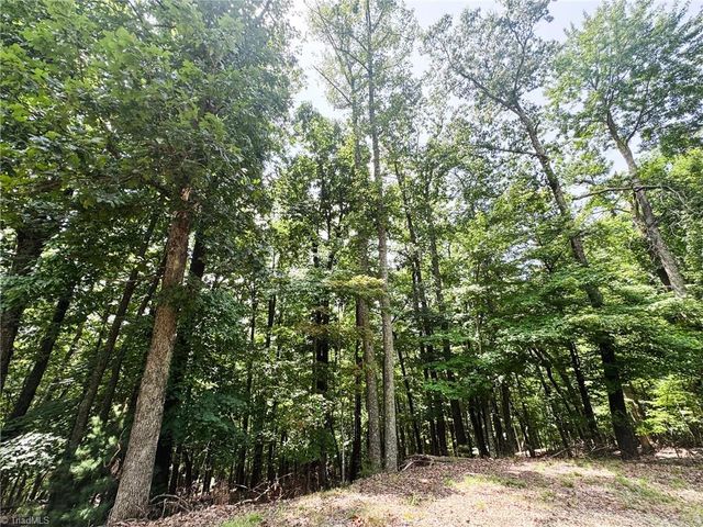 TBD Timber Ridge Road, Mcgrady, NC 28649