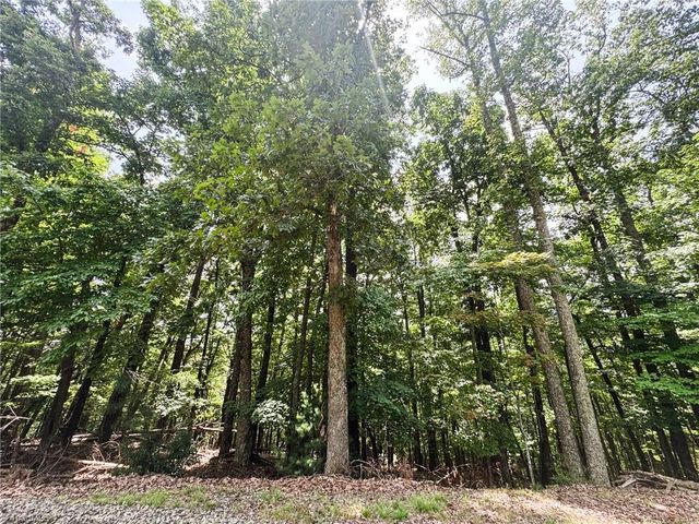 TBD Timber Ridge Road, Mcgrady, NC 28649