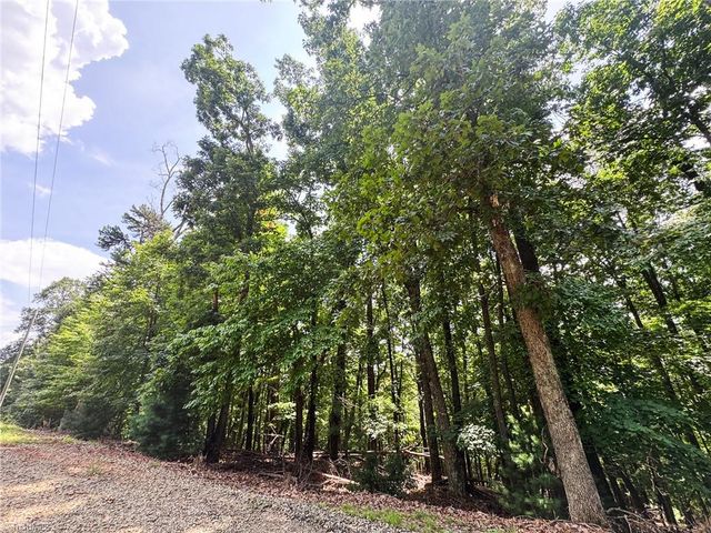 TBD Timber Ridge Road, Mcgrady, NC 28649