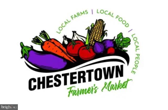 132 PROSPECT ST, Chestertown, MD 21620