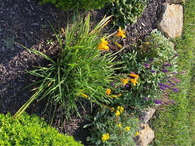 11493 S Waterford Drive, Olathe, KS 66061