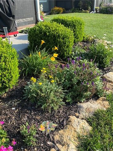 11493 S Waterford Drive, Olathe, KS 66061