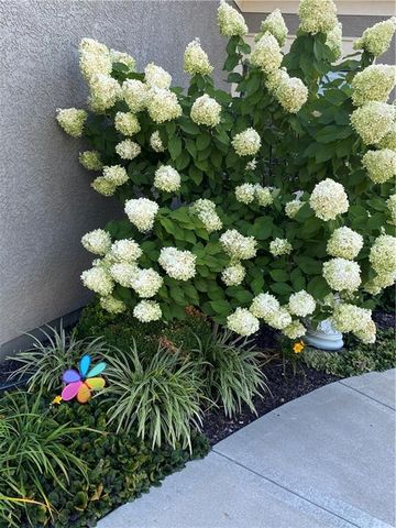 11493 S Waterford Drive, Olathe, KS 66061