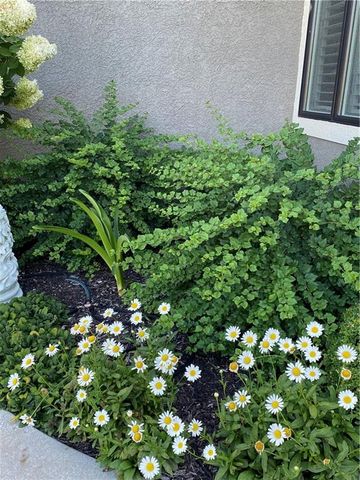 11493 S Waterford Drive, Olathe, KS 66061