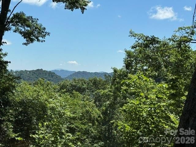 673 Chestnut Lane, Mars Hill, NC 28754