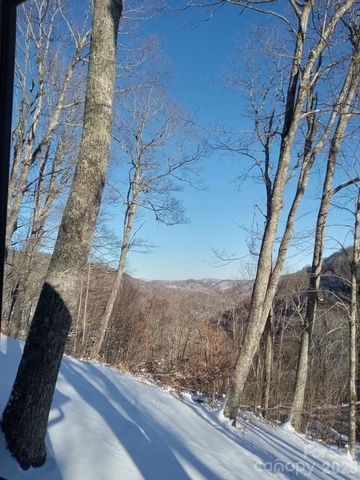 673 Chestnut Lane, Mars Hill, NC 28754