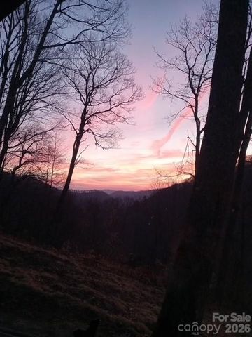673 Chestnut Lane, Mars Hill, NC 28754